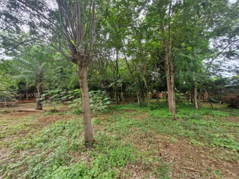 VENDO TERRENO EN AREGUA FRACCION ALICIA COD 6718 (foto 5)